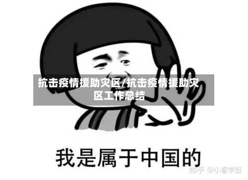 抗击疫情援助灾区/抗击疫情援助灾区工作总结