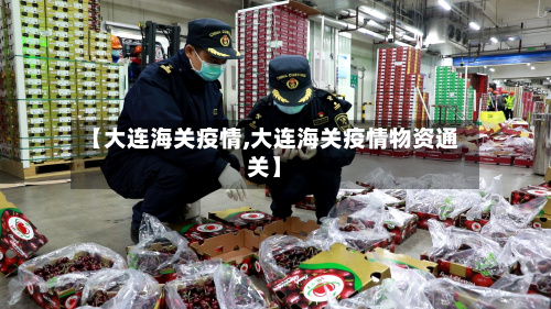 【大连海关疫情,大连海关疫情物资通关】