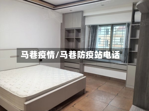 马巷疫情/马巷防疫站电话