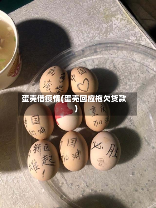 蛋壳借疫情(蛋壳回应拖欠货款)