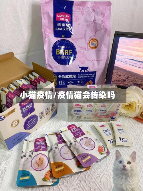 小猫疫情/疫情猫会传染吗