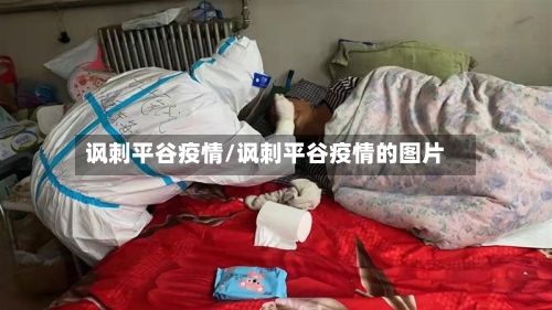 讽刺平谷疫情/讽刺平谷疫情的图片