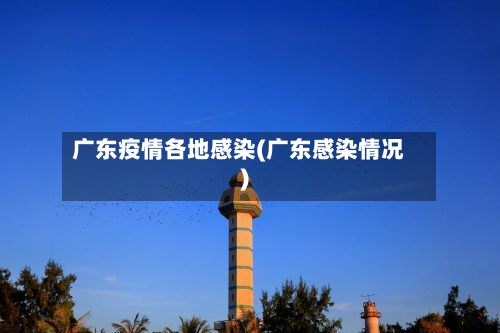 广东疫情各地感染(广东感染情况)