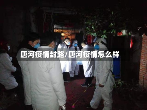 唐河疫情封路/唐河疫情怎么样