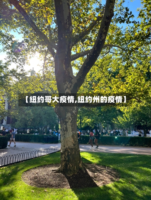 【纽约哥大疫情,纽约州的疫情】