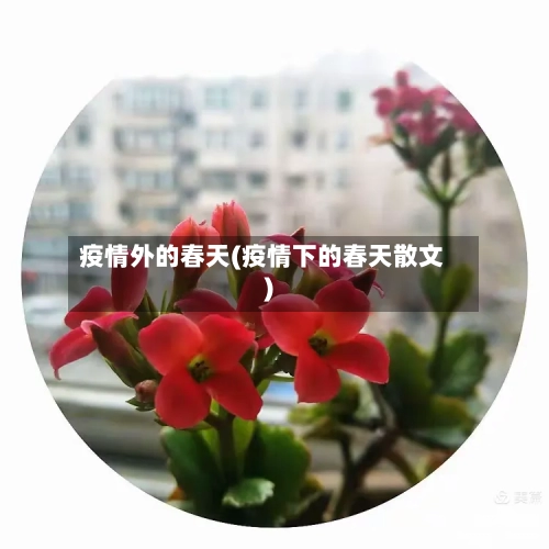 疫情外的春天(疫情下的春天散文)