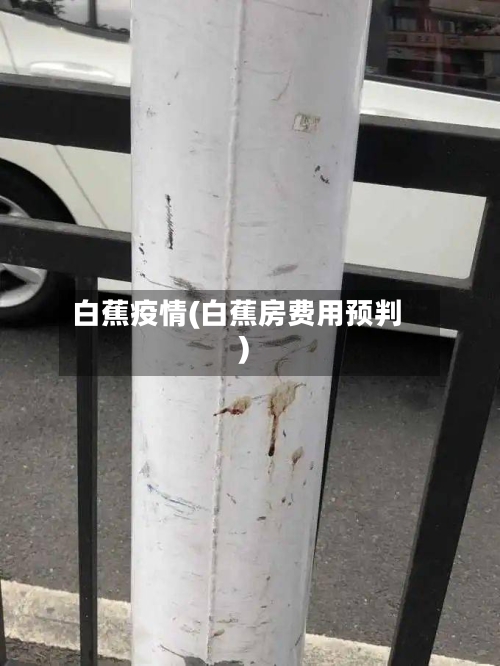 白蕉疫情(白蕉房费用预判)