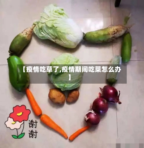 【疫情吃草了,疫情期间吃菜怎么办】