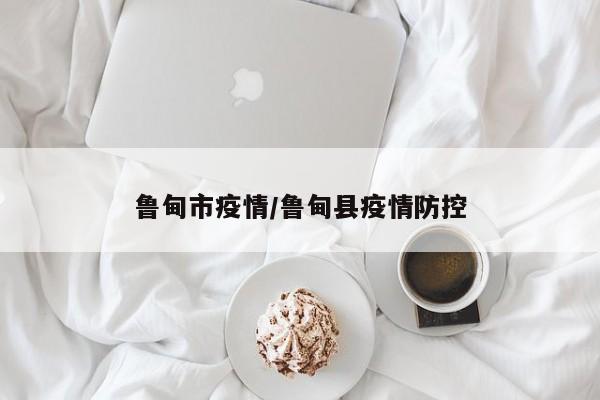鲁甸市疫情/鲁甸县疫情防控