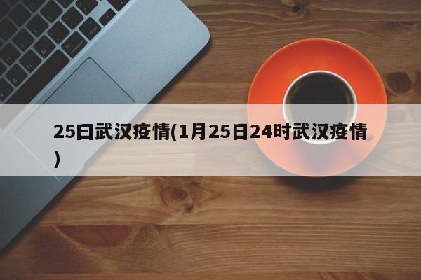 25曰武汉疫情(1月25日24时武汉疫情)